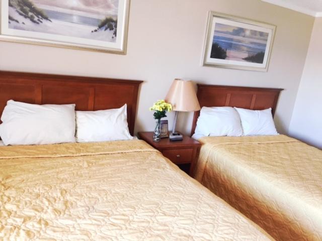 Hotel The Atlantic à Myrtle Beach Extérieur photo